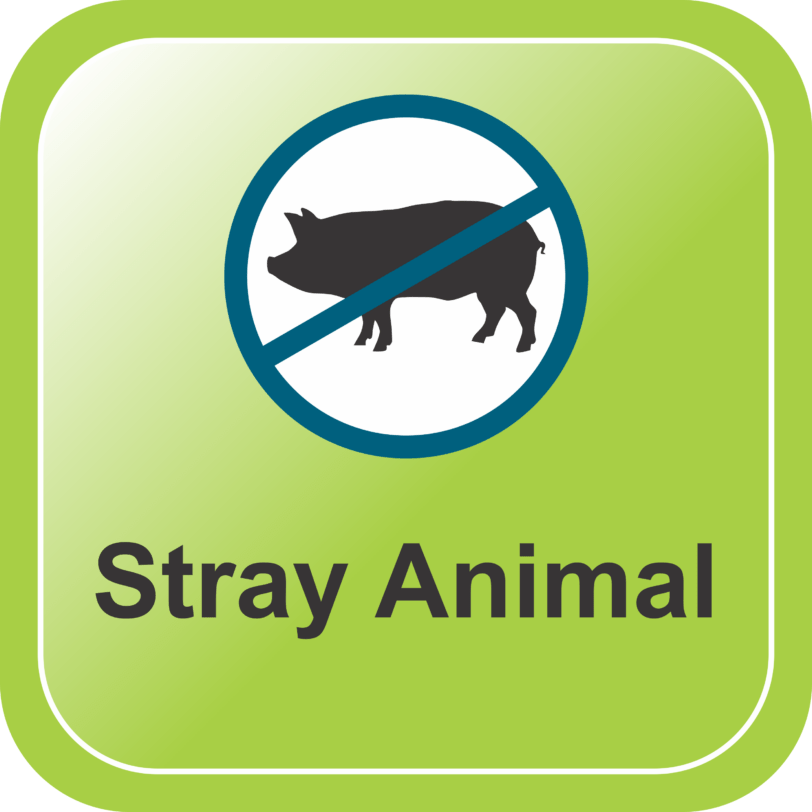 STRAY ANIMAL REPELLENT