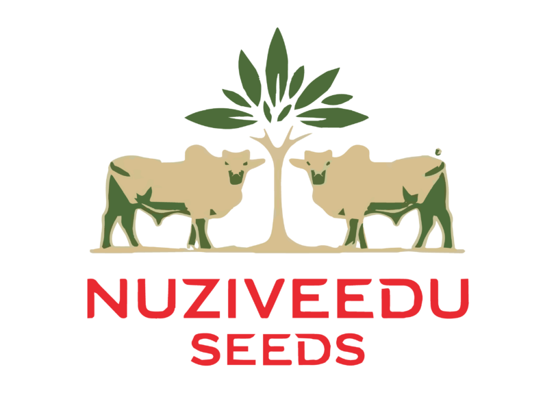 NUZIVEEDU SEEDS LTD
